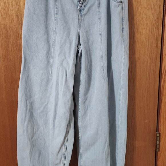 THE GREAT BAGGY!! - Picture 1 of 3